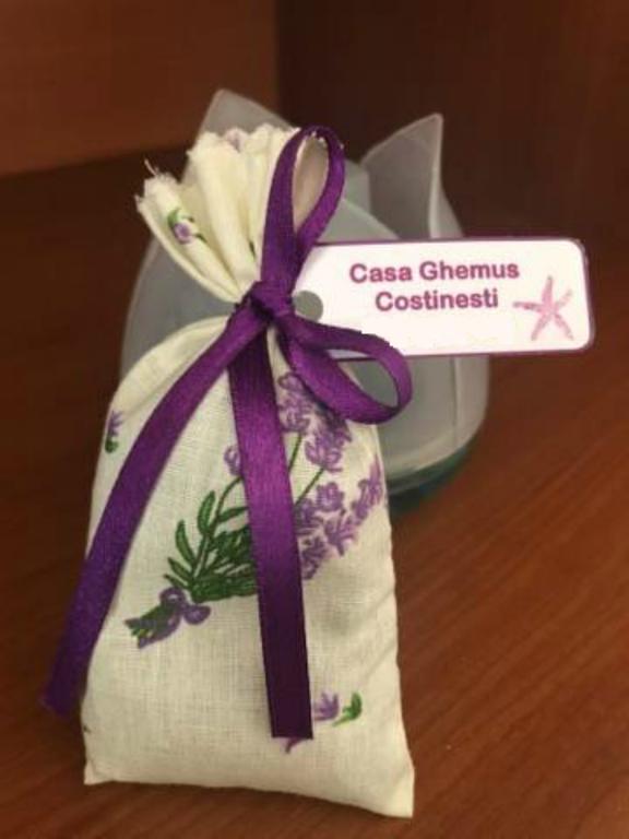 מלון Casa Ghemus קוסטינסטי מראה חיצוני תמונה