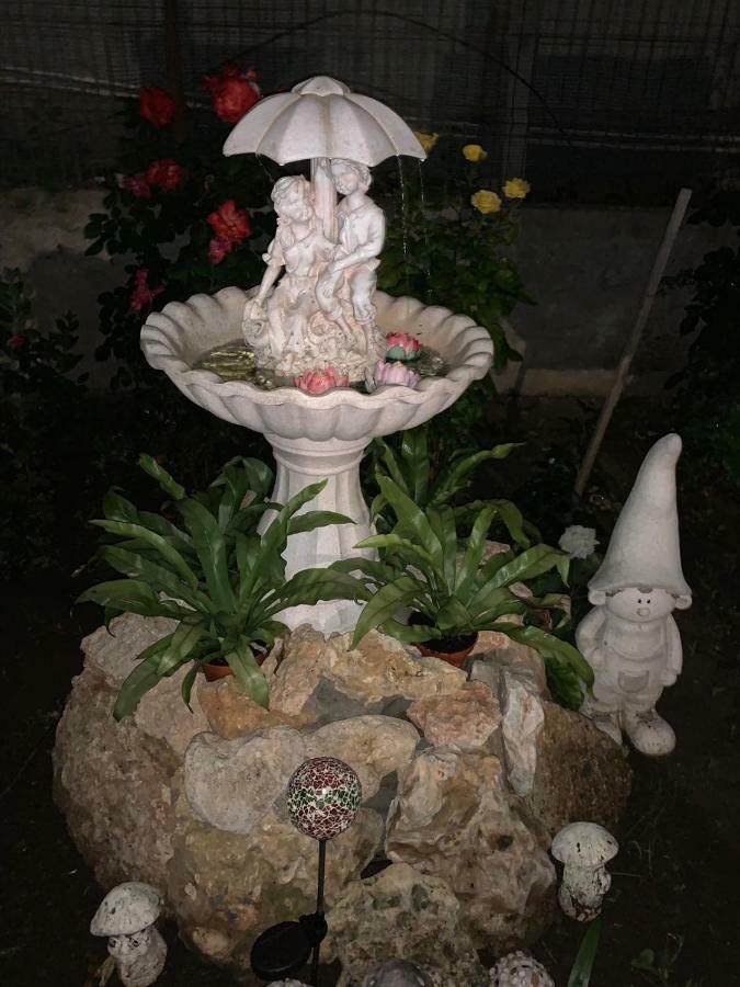 מלון Casa Ghemus קוסטינסטי מראה חיצוני תמונה